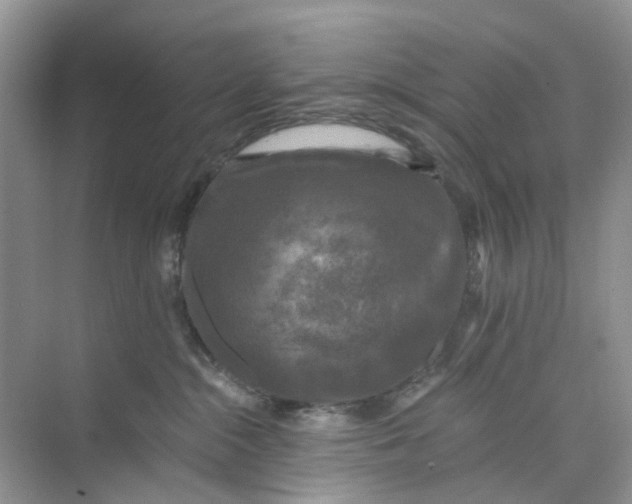 X0000073860284200608312034