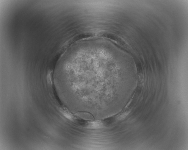 X0000073860286200608312034