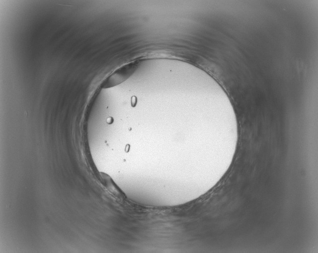 X0000073860289200608312034