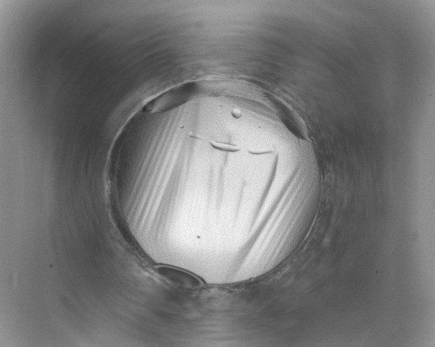 X0000073860290200608312034