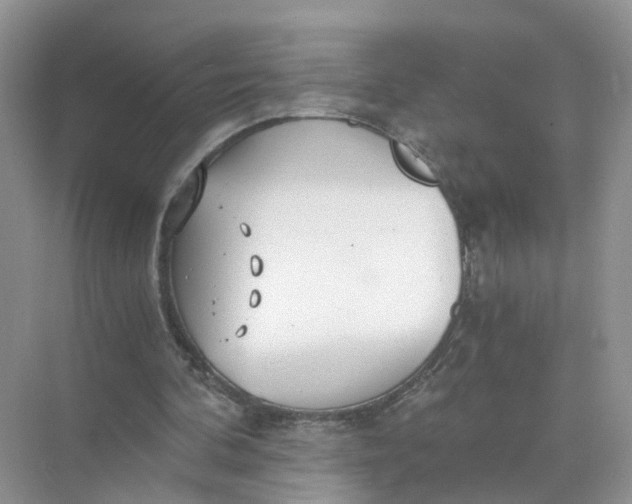 X0000073860292200608312034