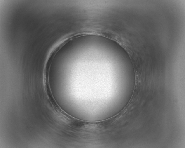 X0000073860294200608312034