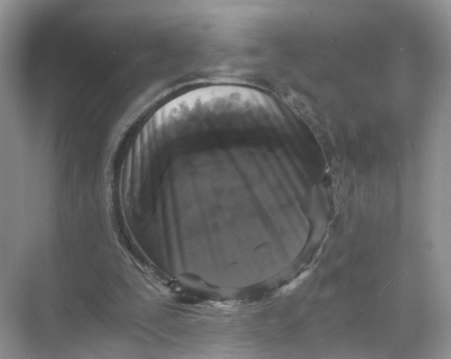 X0000073860295200608312034