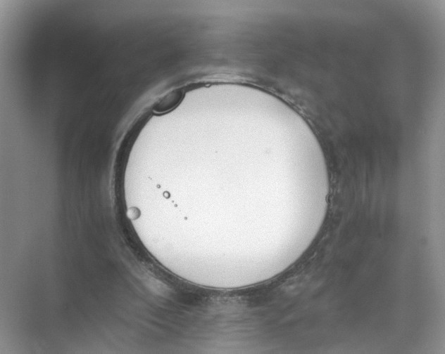 X0000073860296200608312034