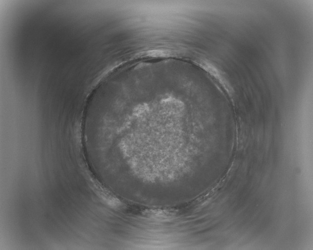 X0000073860297200608312034