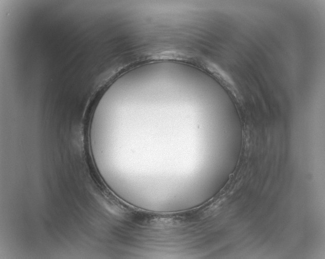 X0000073860298200608312034