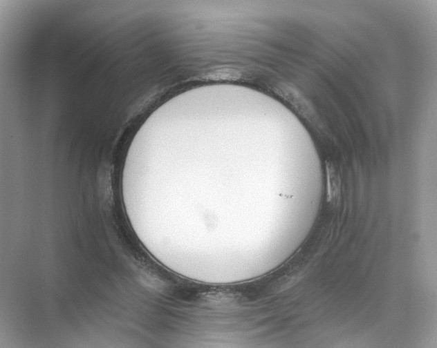 X0000073860300200608312034