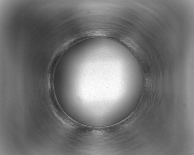 X0000073860302200608312034