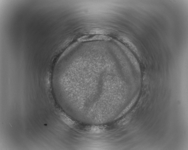 X0000073860305200608312033