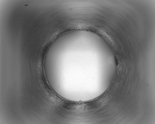 X0000073860306200608312033