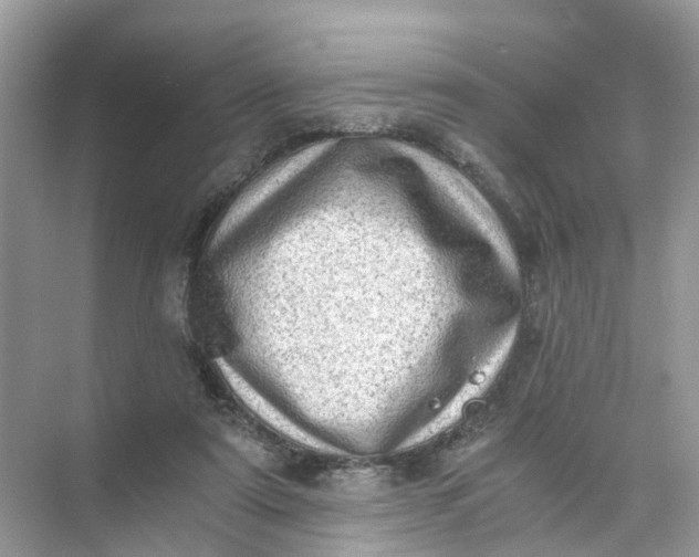 X0000073860307200608312033