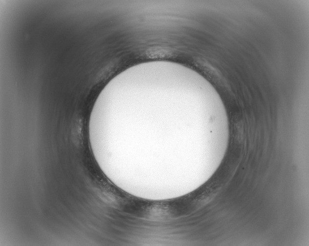 X0000073860308200608312033