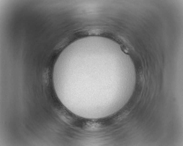 X0000073860311200608312033