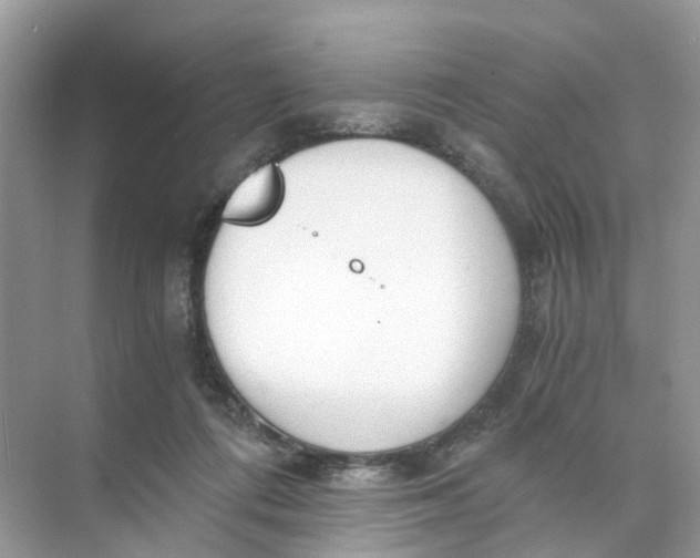 X0000073860312200608312033