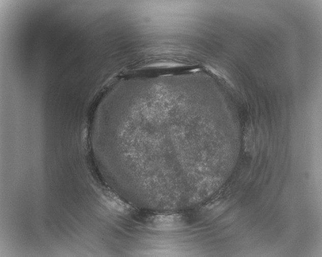 X0000073860314200608312033