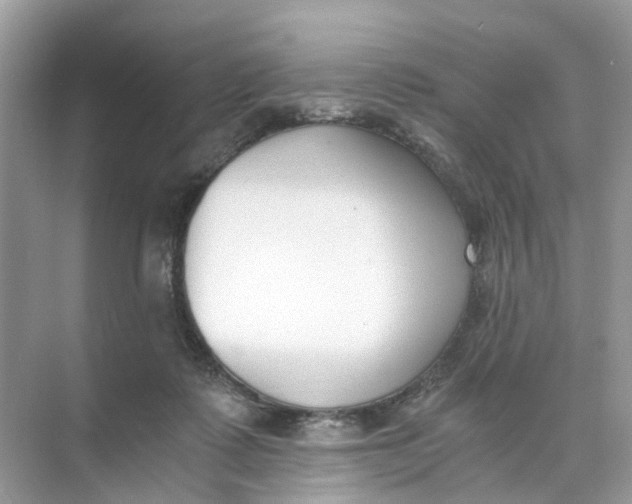 X0000073860315200608312033