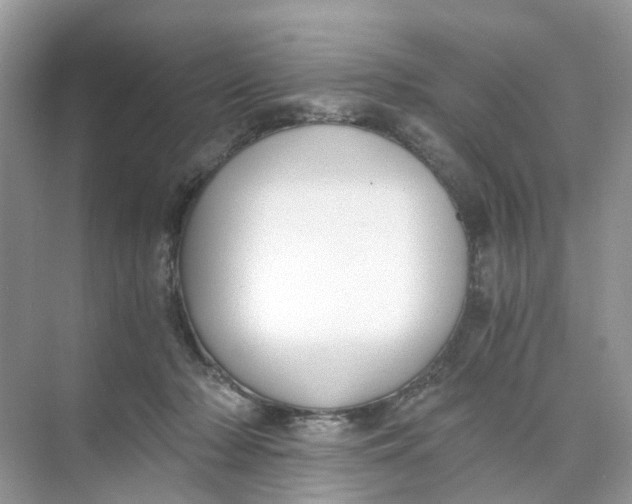 X0000073860318200608312033