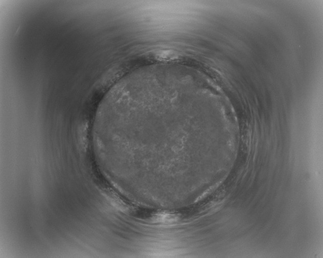 X0000073860319200608312033