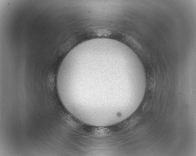 X0000073860321200608312033