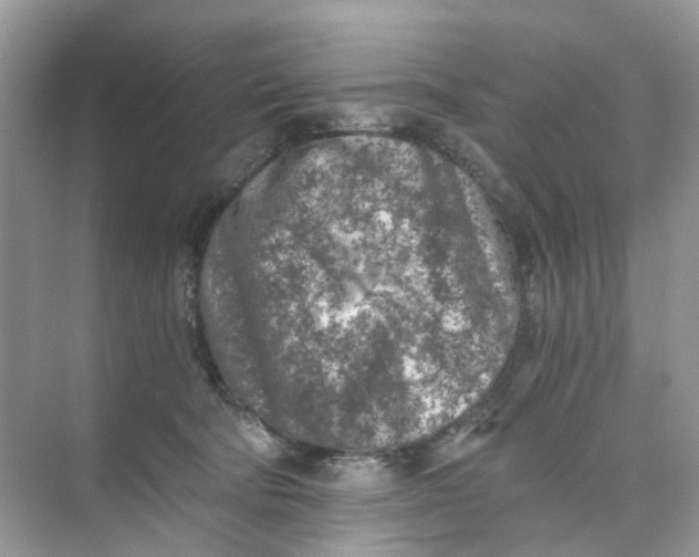 X0000073860322200608312033