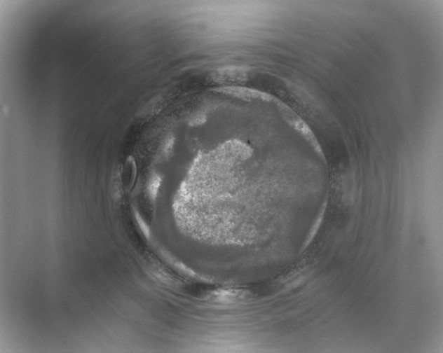 X0000073860323200608312033