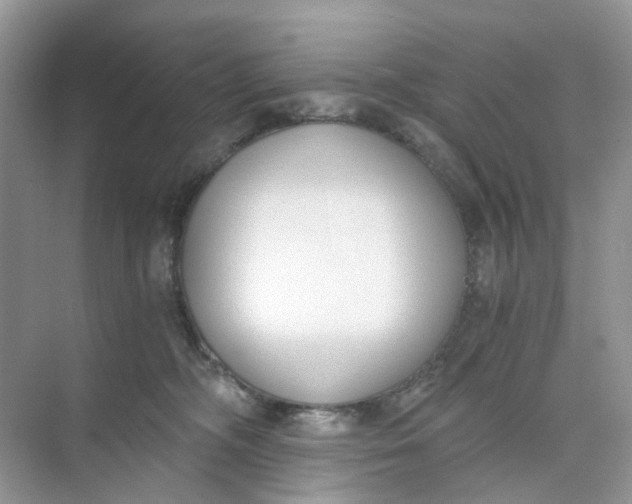 X0000073860326200608312033