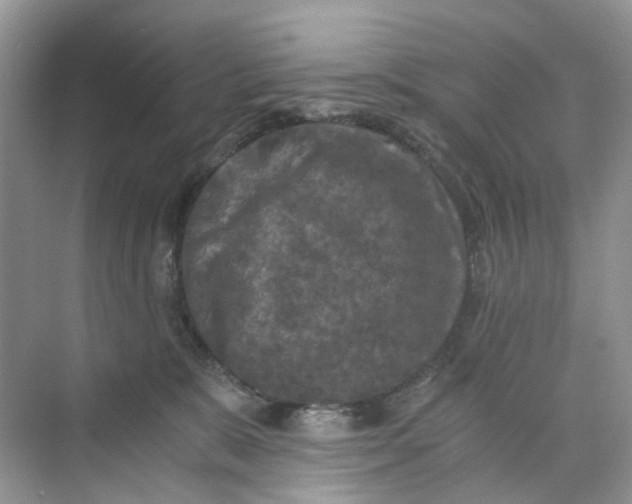 X0000073860327200608312033