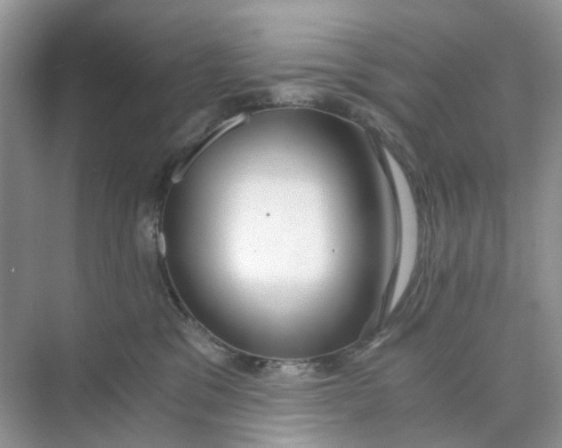 X0000073860329200608312033