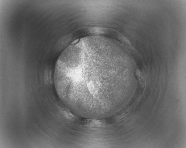 X0000073860330200608312033