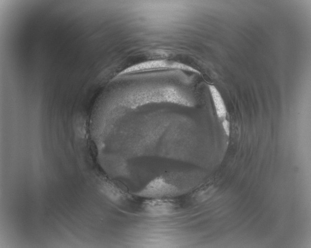 X0000073860331200608312033