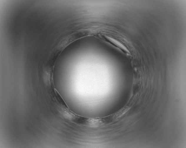 X0000073860333200608312033