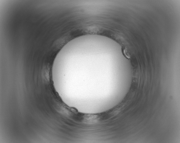 X0000073860334200608312033