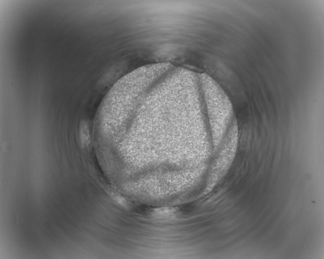 X0000073860335200608312033