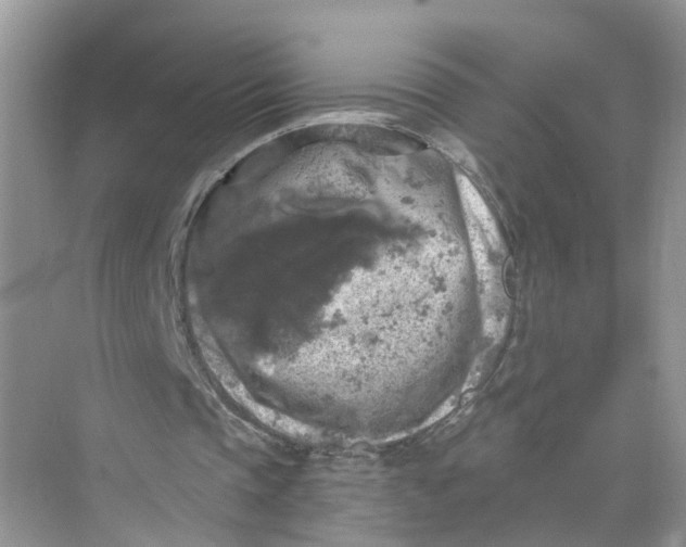 X0000073860337200608312032