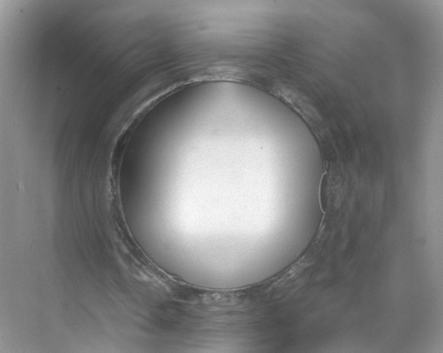 X0000073860338200608312032