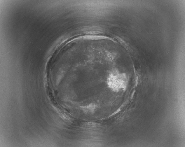 X0000073860339200608312032