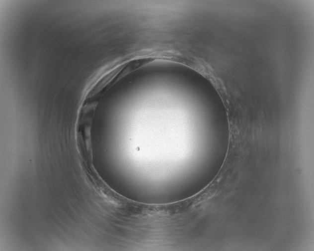 X0000073860340200608312032