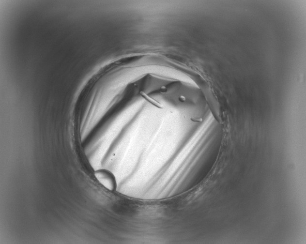 X0000073860342200608312032