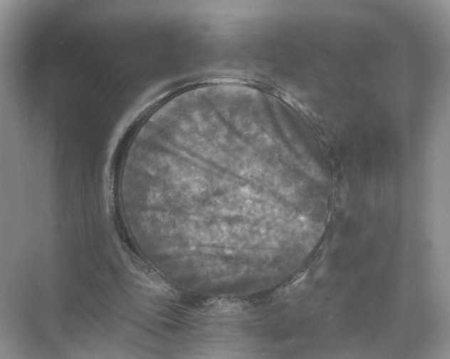 X0000073860343200608312032