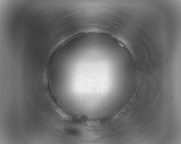 X0000073860345200608312032