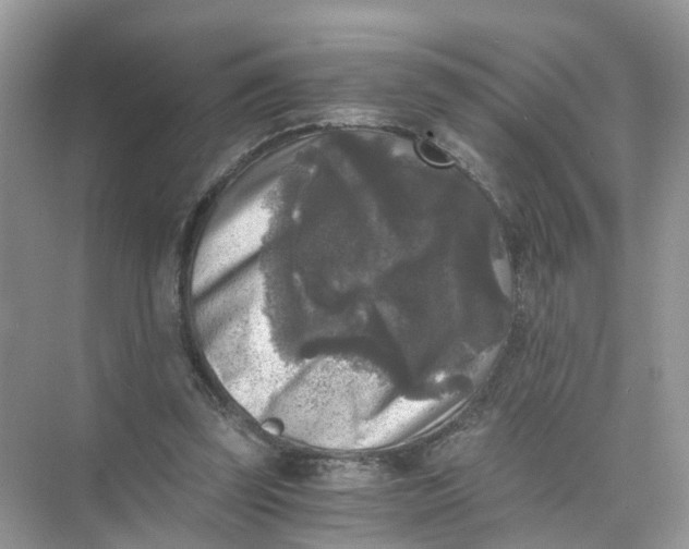 X0000073860347200608312032