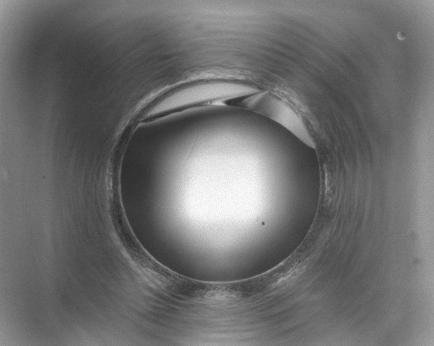 X0000073860348200608312032