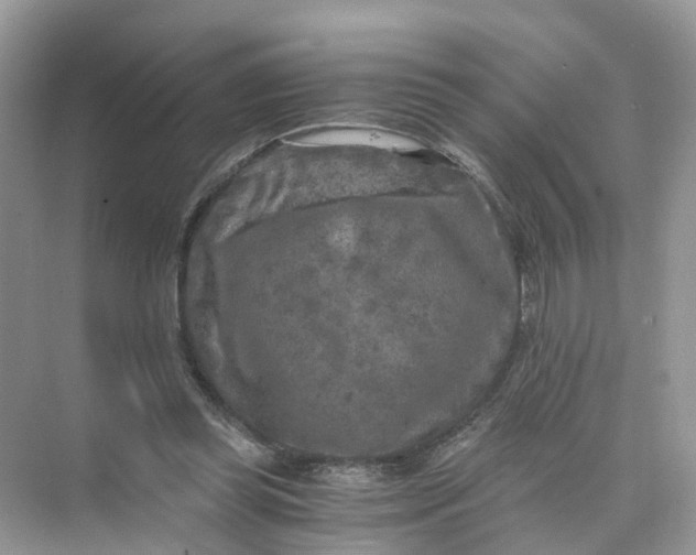 X0000073860349200608312032