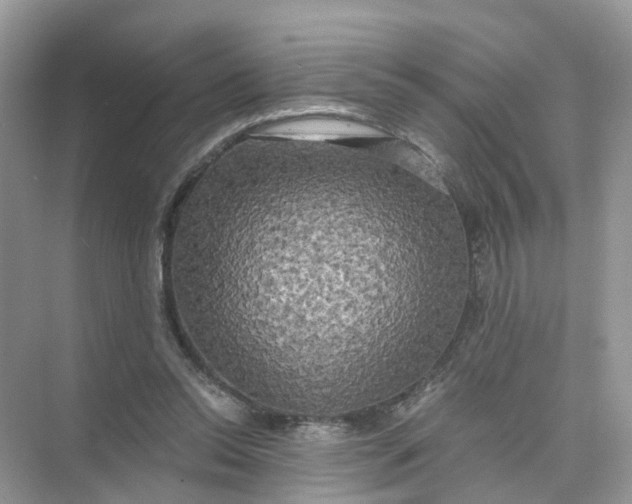 X0000073860350200608312032