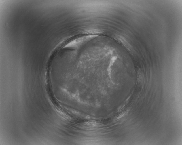 X0000073860351200608312032