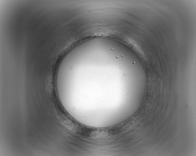 X0000073860354200608312032