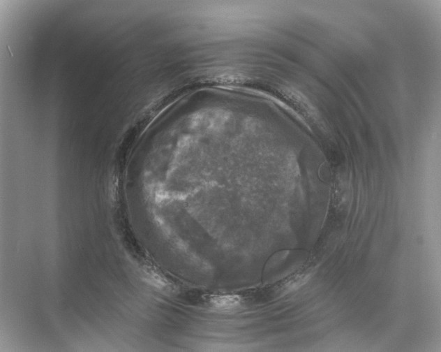 X0000073860355200608312032