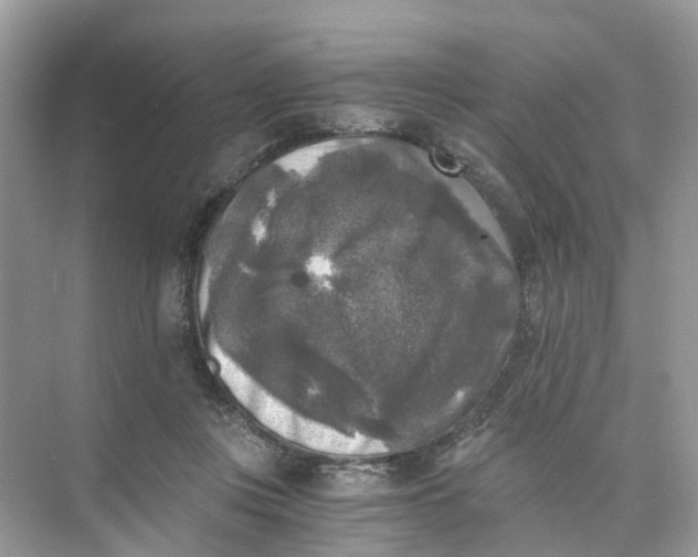 X0000073860359200608312032