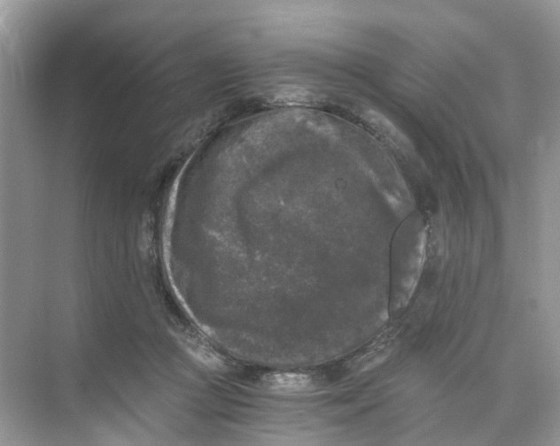 X0000073860361200608312033