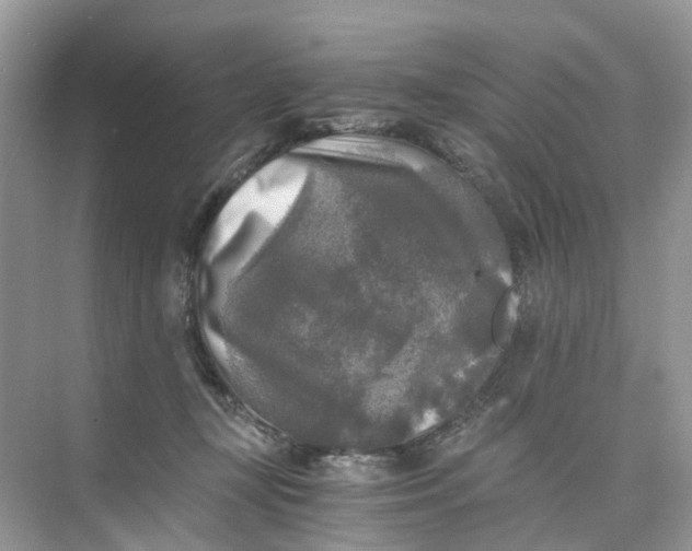 X0000073860367200608312033